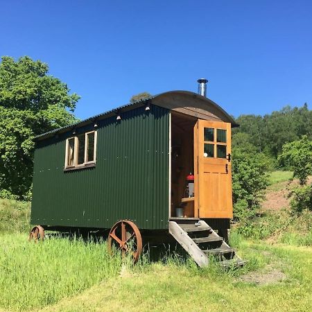 Cosy Woodland Off Grid Shepherds Hut - Rowan Βίλα Castle Douglas Εξωτερικό φωτογραφία