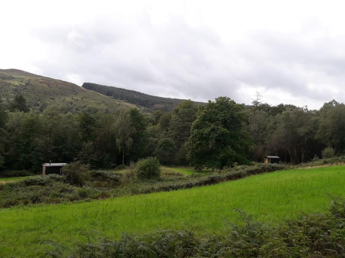 Cosy Woodland Off Grid Shepherds Hut - Rowan Βίλα Castle Douglas Εξωτερικό φωτογραφία