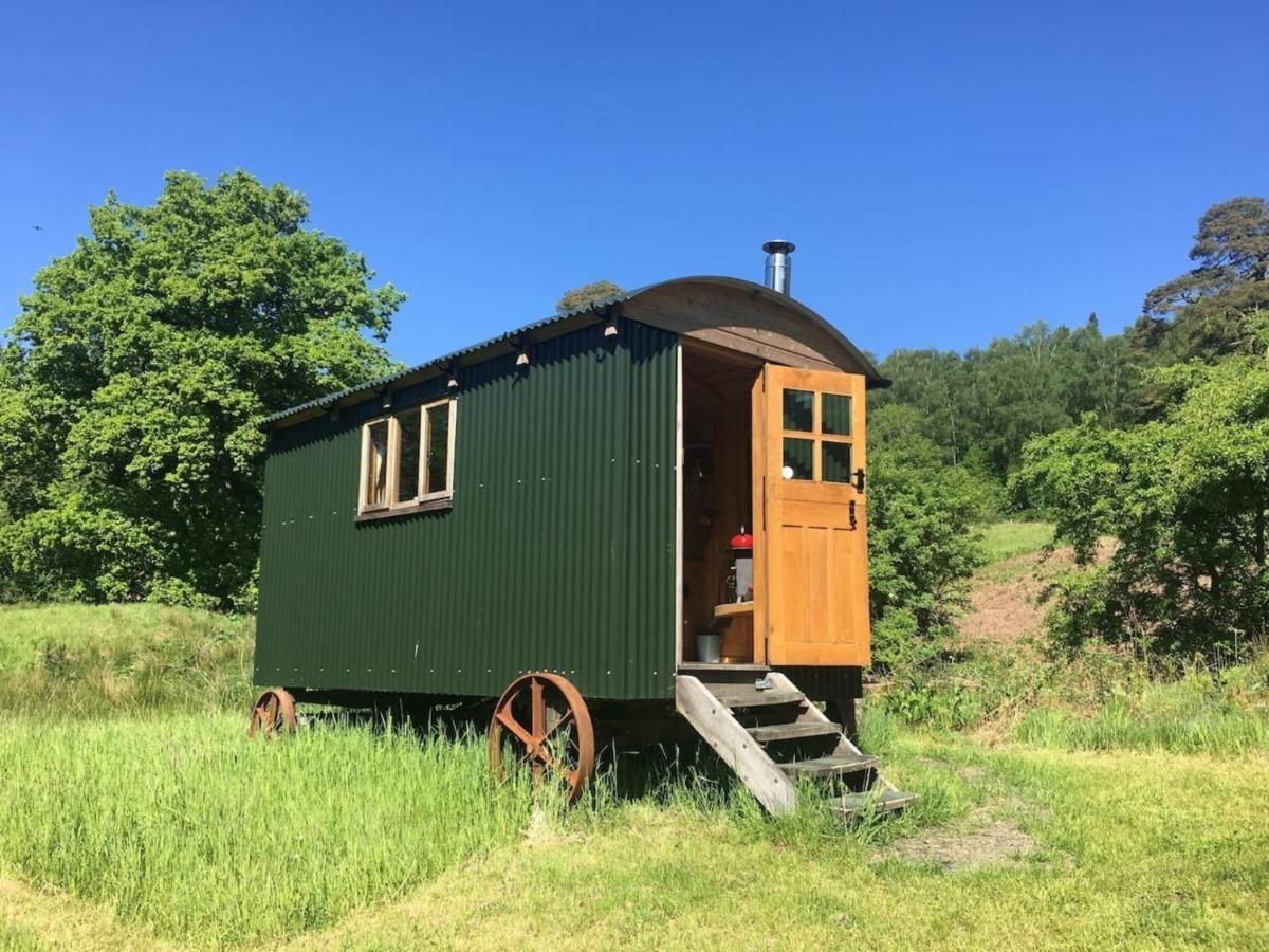Cosy Woodland Off Grid Shepherds Hut - Rowan Βίλα Castle Douglas Εξωτερικό φωτογραφία