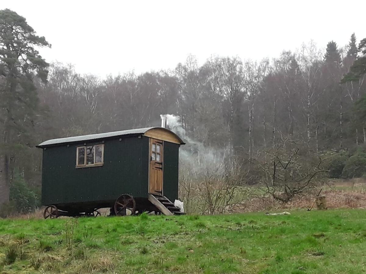 Cosy Woodland Off Grid Shepherds Hut - Rowan Βίλα Castle Douglas Εξωτερικό φωτογραφία