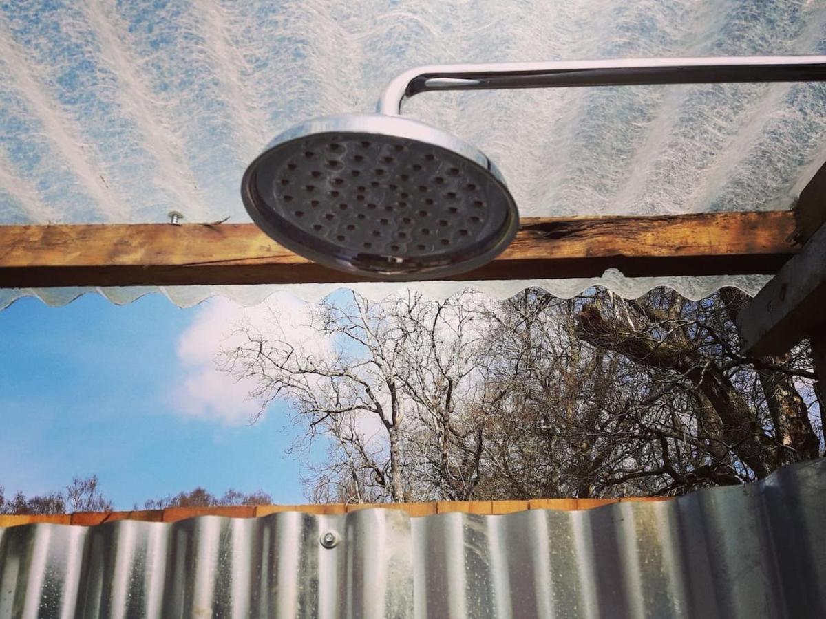 Cosy Woodland Off Grid Shepherds Hut - Rowan Βίλα Castle Douglas Εξωτερικό φωτογραφία