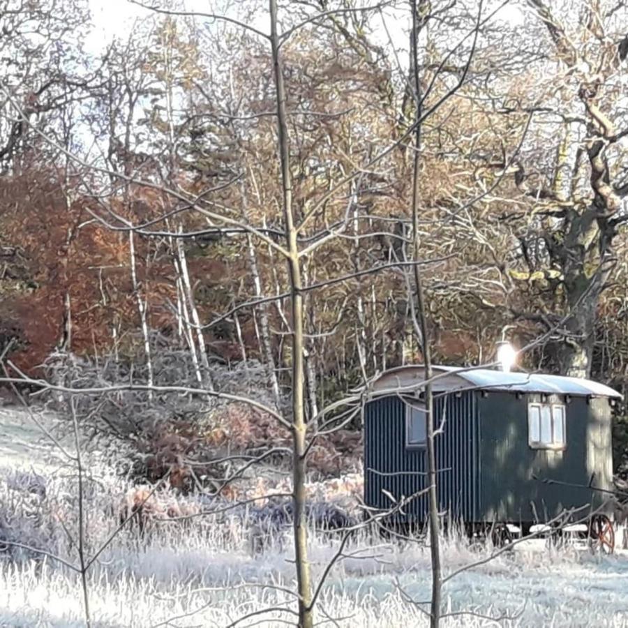 Cosy Woodland Off Grid Shepherds Hut - Rowan Βίλα Castle Douglas Εξωτερικό φωτογραφία
