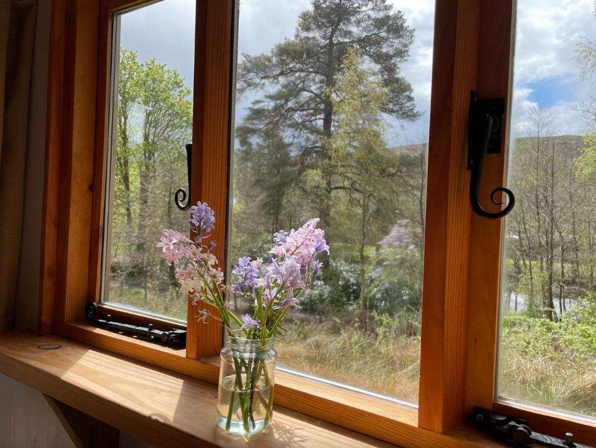Cosy Woodland Off Grid Shepherds Hut - Rowan Βίλα Castle Douglas Εξωτερικό φωτογραφία
