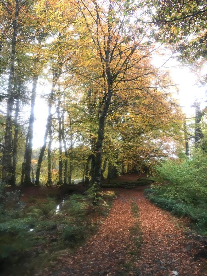 Cosy Woodland Off Grid Shepherds Hut - Rowan Βίλα Castle Douglas Εξωτερικό φωτογραφία