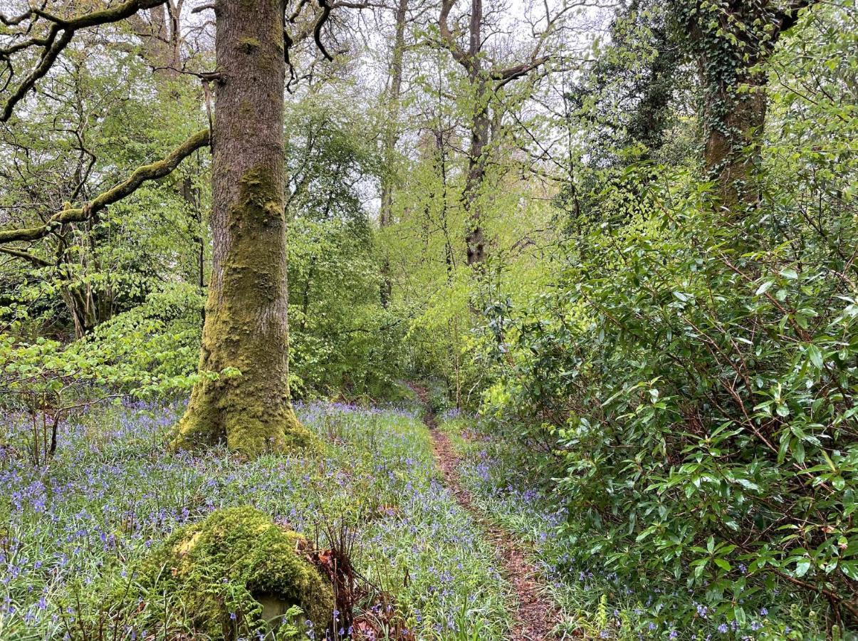 Cosy Woodland Off Grid Shepherds Hut - Rowan Βίλα Castle Douglas Εξωτερικό φωτογραφία