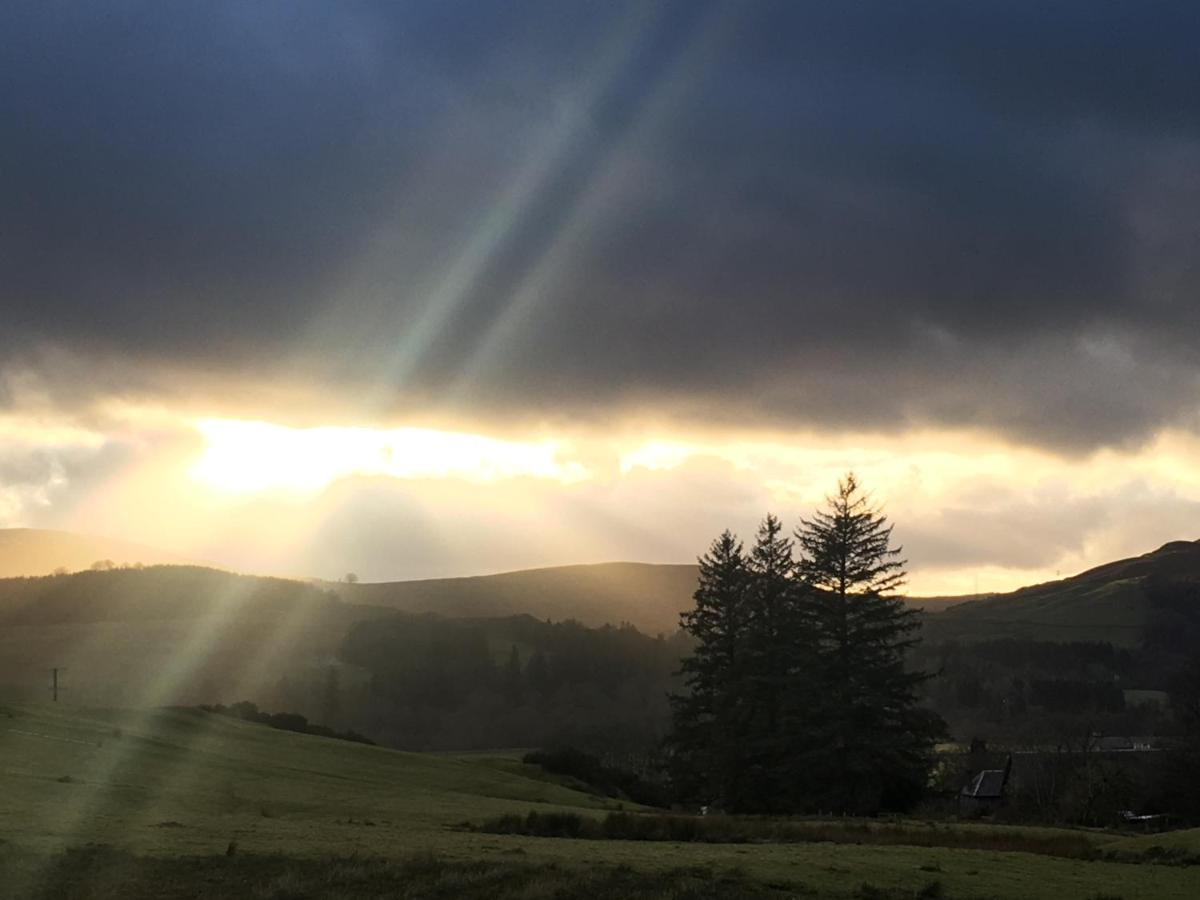 Cosy Woodland Off Grid Shepherds Hut - Rowan Βίλα Castle Douglas Εξωτερικό φωτογραφία