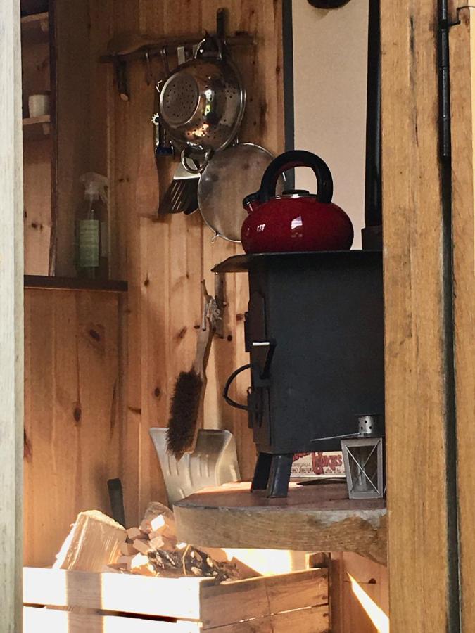 Cosy Woodland Off Grid Shepherds Hut - Rowan Βίλα Castle Douglas Εξωτερικό φωτογραφία